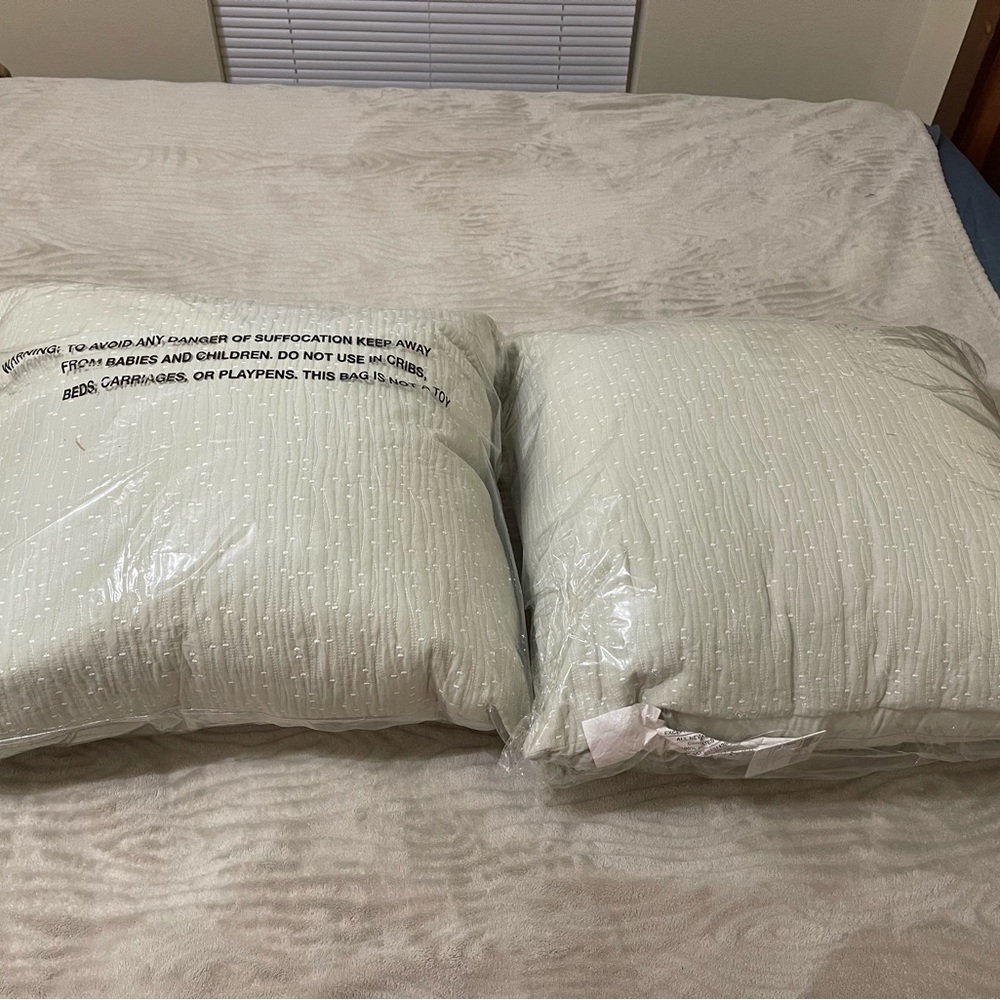 2 brand new throw pillows